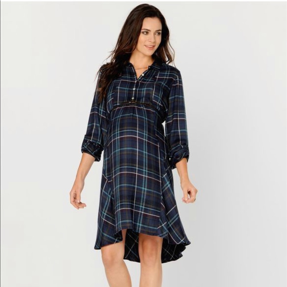 A Pea In The Pod Maternity Dress (M)